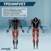 ���������� ������������ PREMIER PROF-M ����-���� ���������������� ����������������� - �������������� ���������������� ��������� � ������ ����