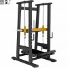 GLT PL76     bronze gym   vasil -      