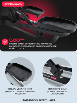 ������������� �������� �������� SVENSSON BODY LABS FORGE �� ������� ��������� - �������������� ���������������� ��������� � ������ ����