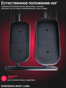 ������������� �������� �������� SVENSSON BODY LABS FORGE �� ������� ��������� - �������������� ���������������� ��������� � ������ ����