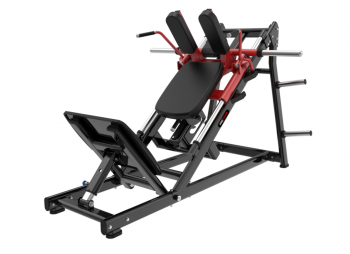 �������� ����-����������/��� ������ �� ��������� ����� Protrain LFP214 �������� - �������������� ���������������� ��������� � ������ ����