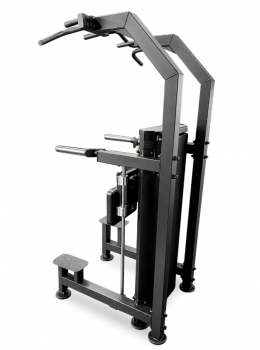 ��������� ���� 100 �� BRONZE GYM PARTNER ML-323 ���������������� ������������ �������� s-dostavka - �������������� ���������������� ��������� � ������ ����