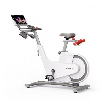 ������������ YESOUL Smart Spinning bike V1 ����� V1 WHITE ����-���� sportsman - �������������� ���������������� ��������� � ������ ����