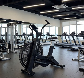P-8A PROF ���������������� �������� Fitex Pro PREMIER-8A PROF �������� - �������������� ���������������� ��������� � ������ ����