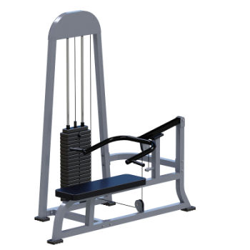 ���������������� ������� �������� ��� ��� Sabirgym SGMSX22 ���� 100 �� �������� - �������������� ���������������� ��������� � ������ ����